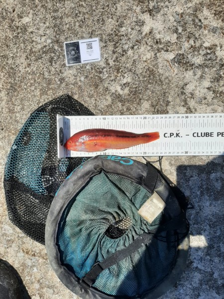 Fish Measure Picture